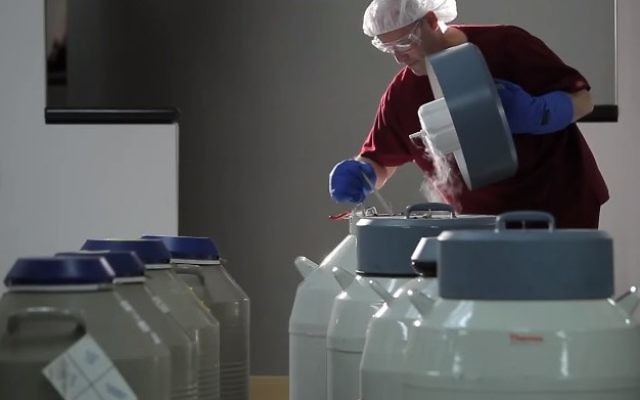 Female egg-freezing, illustrative (YouTube screenshot)