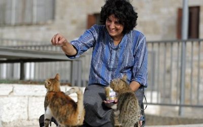 Tova Saul, an Orthodox Jew, feeds stray cats in a neighborhood in Jerusalem's Old City, on July 12, 2017. (AFP PHOTO / THOMAS COEX)