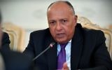 Egyptian Foreign Minister Sameh Shoukry speaks during a meeting with his Russian counterpart in Moscow on August 21, 2017.  (AFP/Alexander Nemenov)