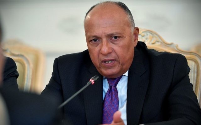 Egyptian Foreign Minister Sameh Shoukry speaks during a meeting with his Russian counterpart in Moscow on August 21, 2017. (AFP/Alexander Nemenov) Egyptian Foreign Minister Sameh Shoukry speaks during a meeting with his Russian counterpart in Moscow on August 21, 2017. (AFP/Alexander Nemenov)