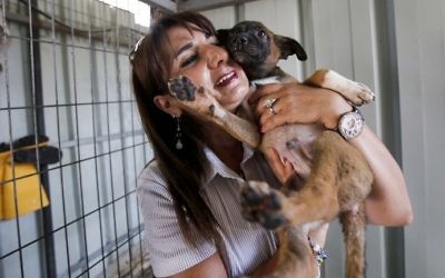 Diana Babish, an ex-banker from the Palestinian city of Bethlehem, carries a dog at the first dog shelter in the West Bank, in the town of Beit Sahour, on August 25, 2017. (AFP Photo/Musa Al Shaer)