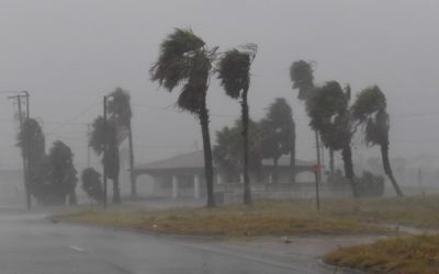 Strong winds batter a house on Padre Island before the approaching Hurricane Harvey in Corpus Christi, Texas on August 25, 2017. (AFP Photo/Mark Ralston)