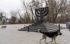 Stray dogs roam the Babi Yar monument on March 14, 2016 in Kiev, where Nazis and local collaborators murdered 30,000 Jews in 1941. (Cnaan Liphshiz/JTA)