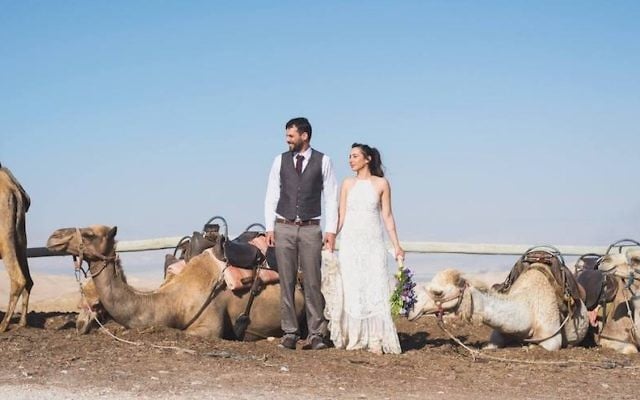 Shani (R) and Ran Maaman enjoy the company of camels at their wedding in the Judean Desert, May 11, 2017. (Dana Bar-On/JTA)