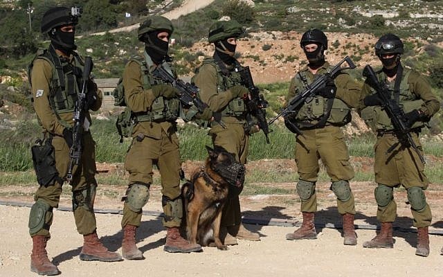 Illustrative photo of IDF soldiers with a trained army dog during a drill, April 2, 2014. (Gershon Elinson/Flash 90) Illustrative photo of IDF soldiers with a trained army dog during a drill, April 2, 2014. (Gershon Elinson/Flash 90)