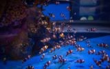Dozens of clown fish populate one of the tanks in the Jerusalem aquarium (Hadas Parush/Flash 90)