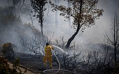 Firefighters try to extinguish a fire in the Valley of the Cross in Jerusalem on August 5, 2017. (Yonatan Sindel/Flash90)