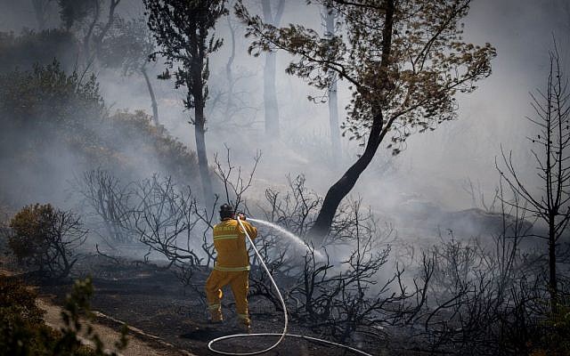 Firefighters try to extinguish a fire in the Valley of the Cross in Jerusalem on August 5, 2017. (Yonatan Sindel/Flash90) Firefighters try to extinguish a fire in the Valley of the Cross in Jerusalem on August 5, 2017. (Yonatan Sindel/Flash90)