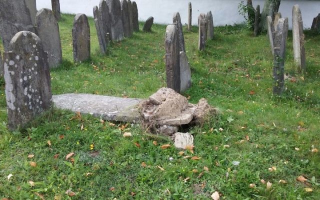 Some 20 headstones were overturned and smashed the Jewish cemetery of Svaliava, Ukraine. (Chabad.org) Some 20 headstones were overturned and smashed the Jewish cemetery of Svaliava, Ukraine. (Chabad.org)