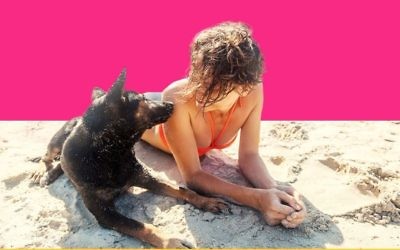 Dogs and their owners can enter a Vibe Israel contest to win an all-expenses paid vacation (Courtesy Vibe Israel)