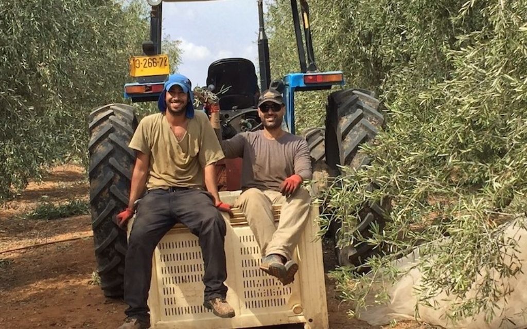Illustrative: Workers sitting on tractor on Kibbutz Ruhama, Israel, October 2016. (Courtesy of Ran Ferdman) Illustrative: Workers sitting on tractor on Kibbutz Ruhama, Israel, October 2016. (Courtesy of Ran Ferdman)