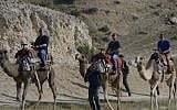 Benjamin Netanyahu, left, rides on a camel with his sons Avner Netanyahu, center, and Yair Netanyahu on April 8, 2015. (Amos Ben Gershom/GPO)