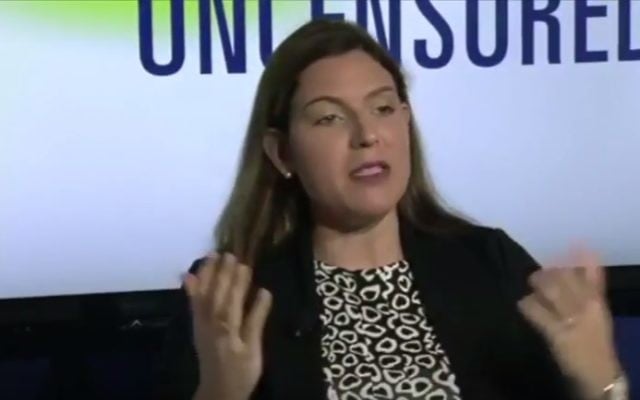 Jewish Republican candidate for US Senate Lena Epstein (YouTube screenshot) Jewish Republican candidate for US Senate Lena Epstein (YouTube screenshot)