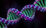 Mapped human gene (YouTube screenshot)