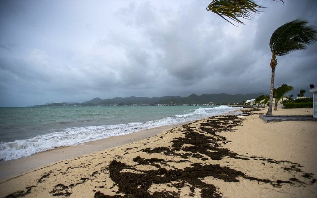 A picture taken on September 5, 2017 shows a view of the Baie Nettle beach in Marigot, with the wind blowing ahead of the arrival of Hurricane Irma. (AFP Photo/ Lionel Chamoiseau)