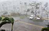 Trees are toppled in a parking lot at Roberto Clemente Coliseum in San Juan, Puerto Rico, on September 20, 2017, during the passage of the Hurricane Maria. (AFP/Hector Retamal)