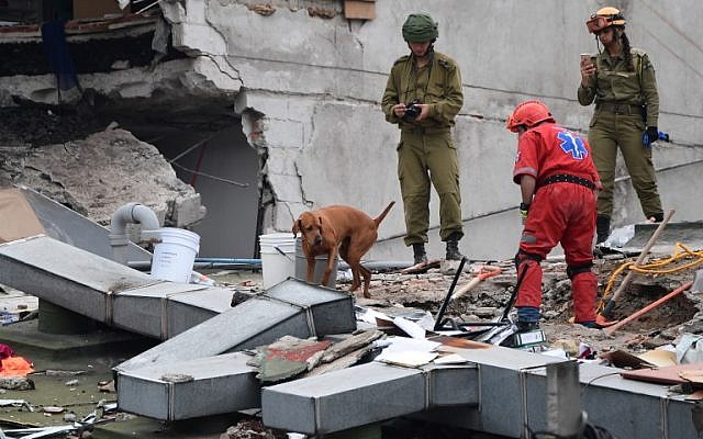 Rescuers from Israel (in olive green) register the moves of a sniffer dog as they join the search for survivors in a flattened building in Mexico City on September 21, 2017 two days after a strong quake hit central Mexico. (AFP / Ronaldo SCHEMIDT)