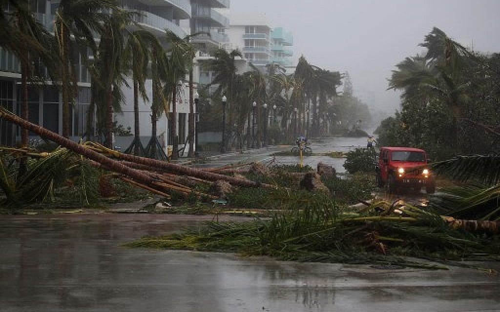 A vehicle passes downed palm trees and two cyclists attempt to ride as Hurricane Irma passed through the area on September 10, 2017 in Miami Beach, Florida. (Joe Raedle/Getty Images/AFP)
