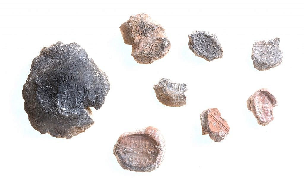 A collection of bullae (sealings). (Clara Amit, Antiquities Authority)