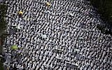 Muslim pilgrims attend noon prayers outside the Namirah mosque on Arafat Mountain, during the annual hajj pilgrimage, outside the holy city of Mecca, Saudi Arabia, Thursday, Aug. 31, 2017. (AP Photo/Khalil Hamra)
