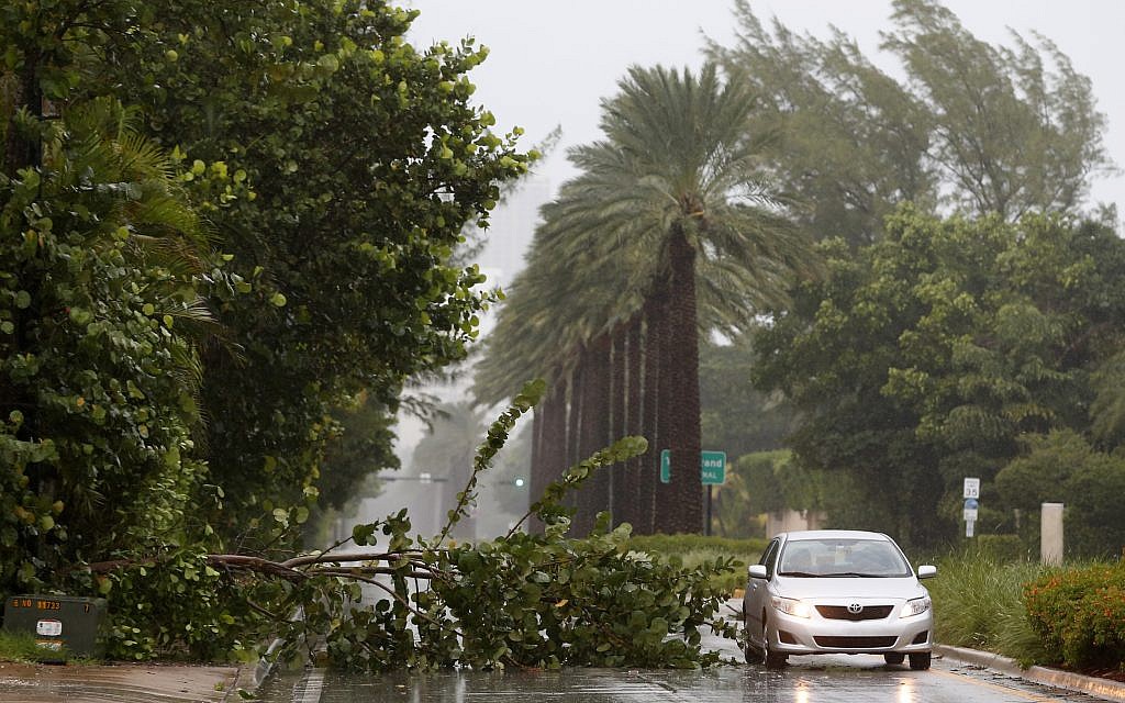 A car drives around a tree downed by winds from Hurricane Irma, September 9, 2017, in Golden Beach, Fla. (AP/Wilfredo Lee)