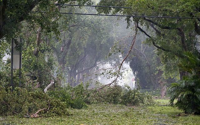 Debris fills the tree-lined streets of a residential area, Sunday, Sept. 10, 2017, in Coral Gables, Fla. (AP Photo/Wilfredo Lee)