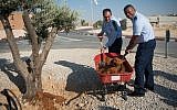 Brig. Gen. Tzvika Haimovitch, the head of Israel's Aerial Defense Command, left, plants a tree with Lt. Gen. Richard Clark, commander of the US 3rd Air Force, to mark the establishment of the first American military base in Israel inside the Mashabim Air Base in southern Israel on September 18, 2017. (Israel Defense Forces)