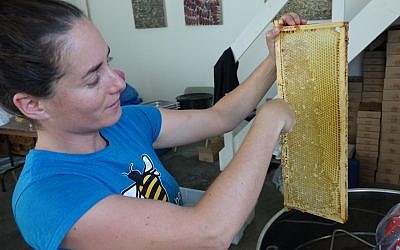 Shoresh director of engagement Sabrina Malach explains how bees cap the honey with wax and how volunteers remove it before jarring the honey. (Dana Wachter/Times of Israel)