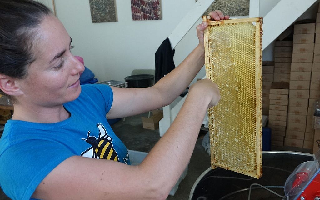 Shoresh director of engagement Sabrina Malach explains how bees cap the honey with wax and how volunteers remove it before jarring the honey. (Dana Wachter/Times of Israel)