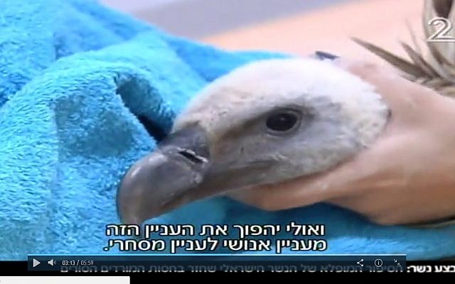 Screenshot of the Israel S-98 returned to Israel in Septmber 2017 by a Syrian rebel commander. (Channel 2/Screenshot) Screenshot of the Israel S-98 returned to Israel in Septmber 2017 by a Syrian rebel commander. (Channel 2/Screenshot)