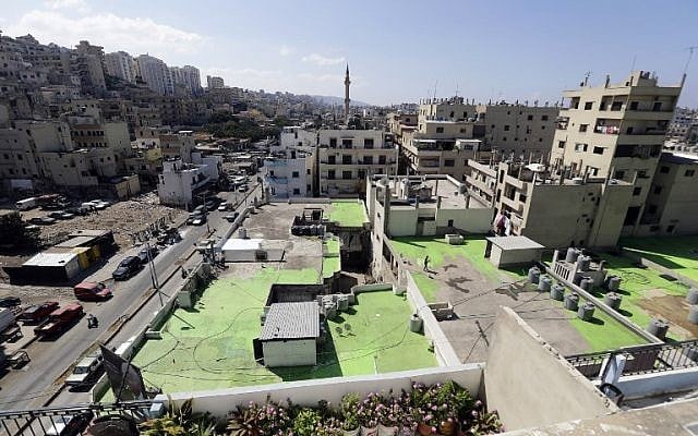 Lebanese painters take part in a project that aims to draw the word Peace in Arabic across 85 rooftops, in Tripoli's Syria street which separates the Sunni neighborhood of Bab al-Tabbaneh from the Alawite neighborhood of Jabal Mohsen, in Tripoli on September 28, 2017. (AFP / Joseph EID)