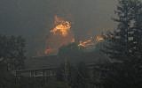 A tree catches fire near houses in the Oakmont are of Santa Rosa, California, Tuesday, Oct. 10, 2017. (AP Photo/Jeff Chiu)