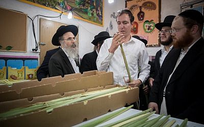 An ultra orthodox Jewish man examines a palm frond, known as lulav, in the ultra-Orthodox Jewish neighborhood of Meah Shearim in Jerusalem, October 1, 2017. (Yonatan Sindel/Flash90)