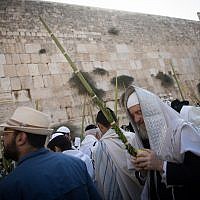Jewish worshipers hold the four plant species as they attend the annual priestly blessing during the Sukkot holiday at the Western Wall in the Old City of Jerusalem on October 8, 2017. (Yonatan Sindel/Flash90) Jewish worshipers hold the four plant species as they attend the annual priestly blessing during the Sukkot holiday at the Western Wall in the Old City of Jerusalem on October 8, 2017. (Yonatan Sindel/Flash90)
