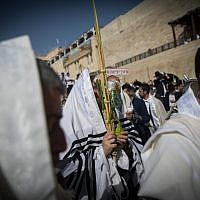 A Jewish worshiper holds the four plant species as he attends the annual priestly blessing during the Sukkot holiday at the Western Wall in the Old City of Jerusalem on October 8, 2017. (Yonatan Sindel/Flash90) A Jewish worshiper holds the four plant species as he attends the annual priestly blessing during the Sukkot holiday at the Western Wall in the Old City of Jerusalem on October 8, 2017. (Yonatan Sindel/Flash90)