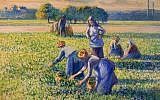 'La Cueillette des pois' ('Picking Peas') by Camille Pissarro, painted in 1887. (Public domain, Wikimedia Commons)