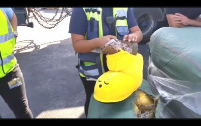A Crossing Authority agent takes a military boot out of a slipper from a shipment that was bound for the Gaza Strip at the Kerem Shalom Crossing on October 8, 2017. (Screen capture: Defense Ministry)