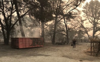 The scene at Hagafen Cellars on Oct. 10, 2017, when land, vegetation and equipment were burned in the fires raging throughout Wine Country this week. (Courtesy of Hagafen Cellars via JTA)