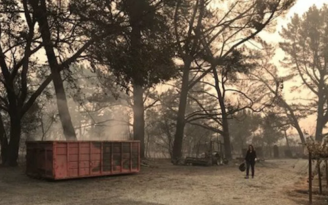 The scene at Hagafen Cellars after wildfires raging in Northern California burned land, vegetation and equipment, Oct. 10, 2017. (Courtesy of Hagafen Cellars via JTA) The scene at Hagafen Cellars after wildfires raging in Northern California burned land, vegetation and equipment, Oct. 10, 2017. (Courtesy of Hagafen Cellars via JTA)