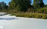 White foam on Tel Aviv's Yarkon River, October 10, 2017 (Walla! screenshot)