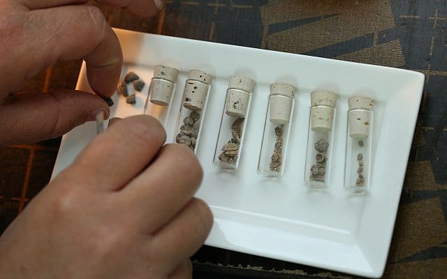 Test tubes containing various botanical seeds found in the refuse pit in Jerusalem's City of David excavation, November 2017. (Eliyahu Yannai, courtesy of the City of David)