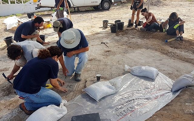 Working on the 1,500-year-old mosaic at Ashdod-Yam. (Anat Rasiuk, Israel Antiquities Authority)