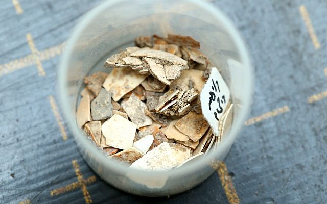 Eggshell fragments found in the Abbasid refuse pit in Jerusalem's City of David excavation, November 2017. (Eliyahu Yannai, courtesy of the City of David)