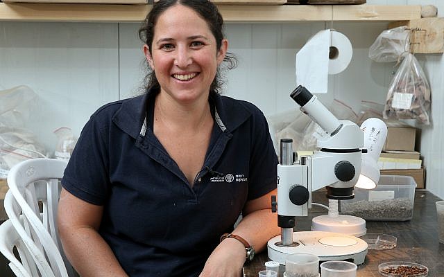 Oriah Amichai, the Israel Antiquities Authority excavation’s archaeobotanist, in her laboratory. (Eliyahu Yannai, courtesy of the City of David)