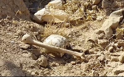 Bones lie on the ground in an area recently retaken from the Islamic State group, at an abandoned base near the northern town of Hawija, Iraq, November 11, 2017. (Kirkuk Governor's Office via AP)