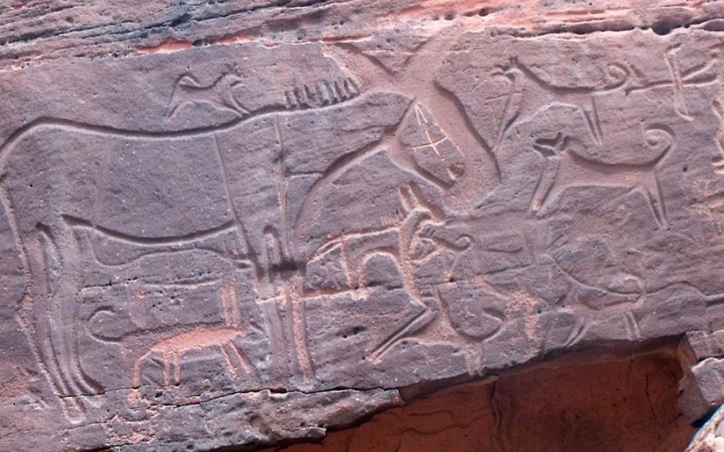 Panel 105 at Shuwaymis in Saudi Arabia, showing a circa 8,000-year-old hunting scene with an equid and its young, surrounded by dogs. (Journal of Anthropological Archaeology)