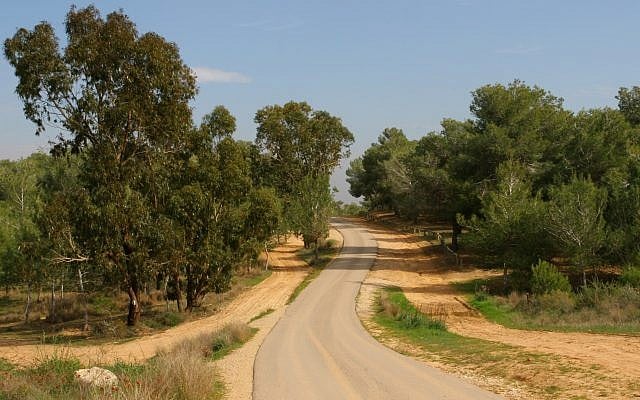 A twisting road near Kibbutz Be'eri, part of the Israel Trail (Chen Leopold/Flash90)