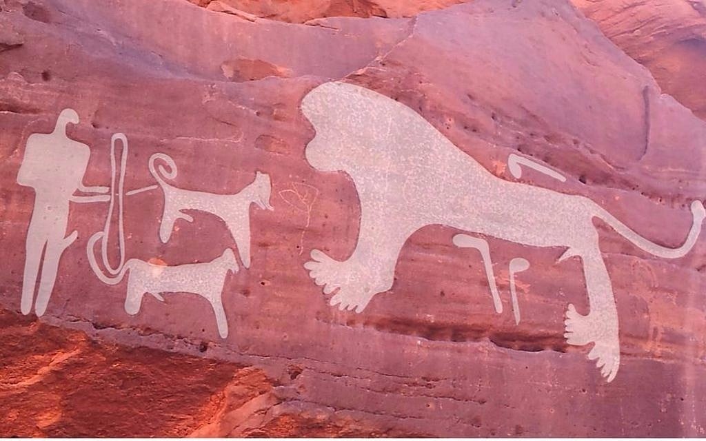 From the Saudi Arabian Shuwaymis site, Panel 144, hunting scene with lion and two dogs (a further five dogs are engraved behind the lion, not visible on photograph). 'Hanakiyah tools' are engraved below the belly and above the back of the lion and may represent at type of tool used to butcher or skin animals. (Journal of Anthropological Archaeology)