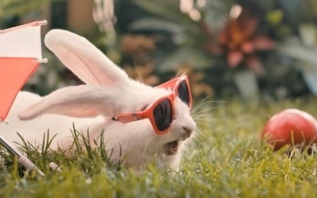 A rabbit in the Polish health ministry video urging citizens to have more children -- like the rabbits do (YouTube screenshot) A rabbit in the Polish health ministry video urging citizens to have more children -- like the rabbits do (YouTube screenshot)