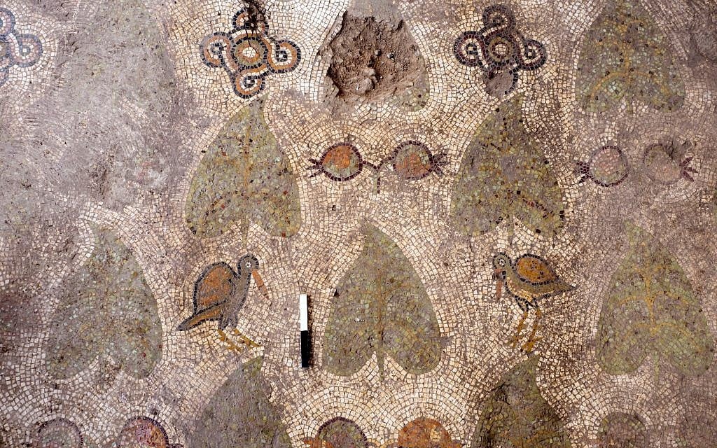 Mosaic floor found at a Byzantine-period church complex found in Ramat Beit Shemesh, 2017. (Assaf Peretz, Israel Antiquities Authority)